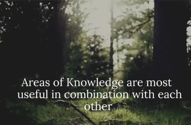 Areas of Knowledge are most useful in combination with each other