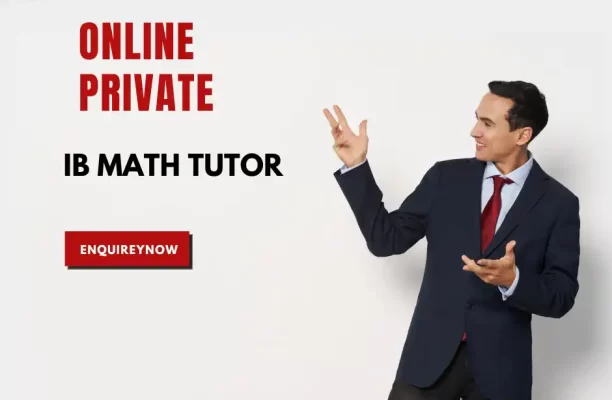 Top Qualities to Consider When Choosing a Private ib math tutor online